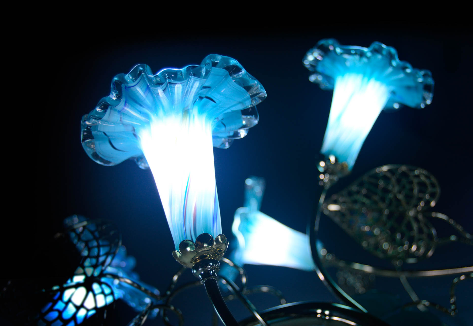 MDK88017-21,MDK88017-21,MDK88017-21